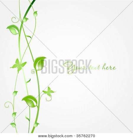 Fondo ecológico vector con hojas verdes y par de mariposa