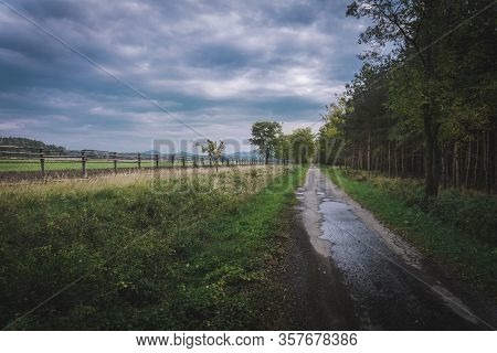 Empty Old Road In Slovakian Forest
