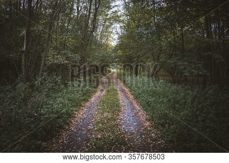 Empty Old Road In Slovakian Forest