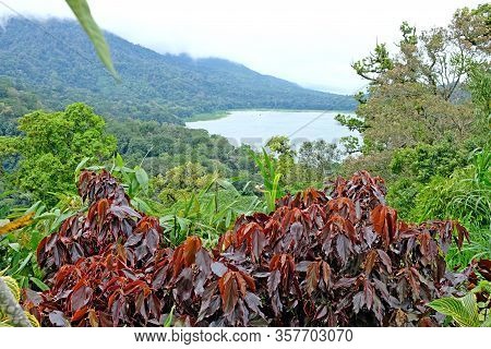 Lake Danau Buyan And The Mountains At The Background, Bali, Indonesia