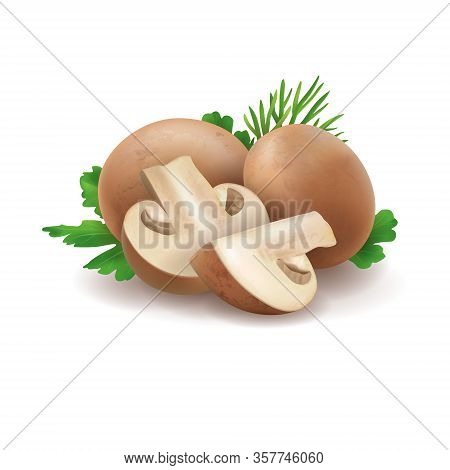 Group Of 3d Realistic Champignons Isolated On White Background. Mushroom Composition With Parsley Di