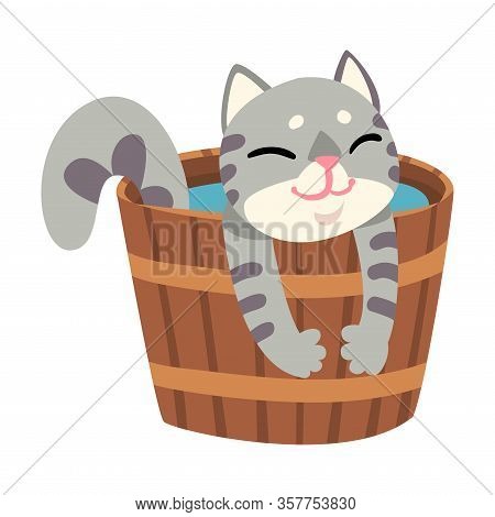 Grey Cat Taking Japanese Hot Spring Bath, Funny Pet Animal Enjoying Spa Procedure In Wooden Barrel V