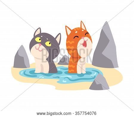 Couple Of Cats Taking Japanese Hot Spring Bath Outdoor, Cute Pet Animals Enjoying Spa Procedure Vect