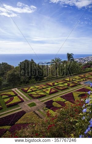 Funchal, Portugal - February 13, 2020: Detail Of Madeira Botanical Garden In Fuchal, Portugal. Garde