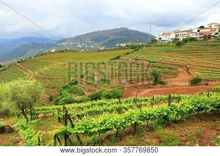 Douro Valley. Portugal Vineyard Countryside Landscape. Alto Douro Doc Wine Making Landscape.