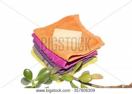 Soap On Facecloths Of Various Shades With Natural Green Plant