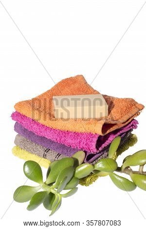 Soap On Facecloths Of Various Shades With Natural Green Plant