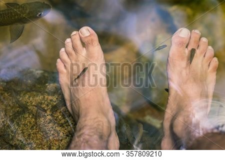 Young Man Having Antimony Fish Spa Therapy And Foot Massage In Waterfall.