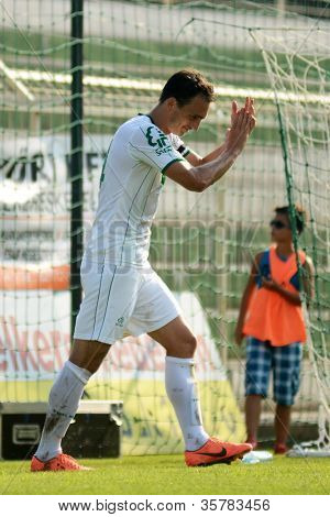 KAPOSVAR, Ungheria - 4 agosto: Lorant Olah celebra a un gam calcio campionato nazionale ungherese