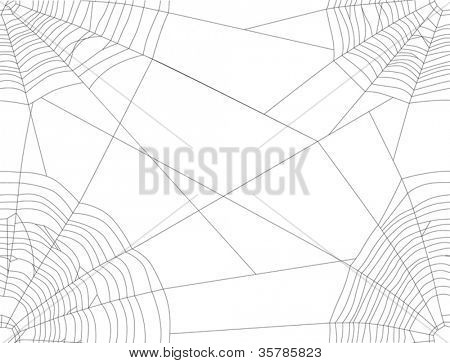 illustrazione con ragnatela isolata on white background