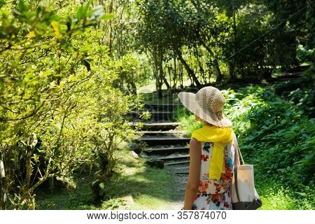 traveling Asian woman hiking in the forest at Xitou, Nantou, Taiwan