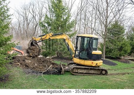 Backhoe Removing A Tree Root