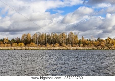 Orange Maple Leaves In The Autumn Season, Nature In The Park, The Specifics Of The Autumn Season And
