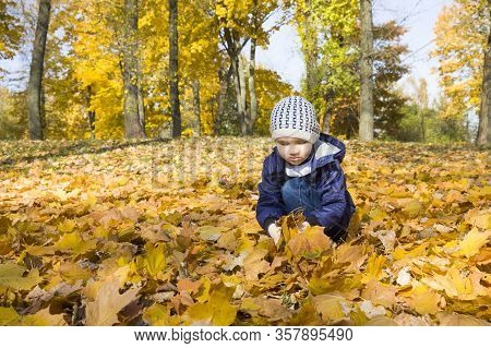 The Boy Walks In The Park In The Autumn Season, Picks Up And Throws Up The Fallen Yellow Leaves