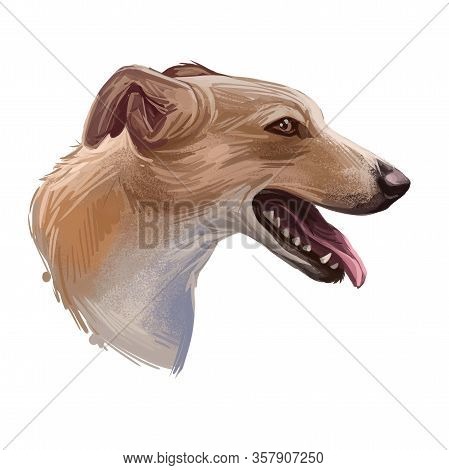 Lurcher Dog, Offspring Of Sighthound Mated With Pastoral Breed Or Terrier, Digital Art Illustration 