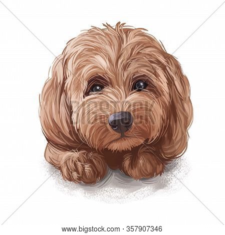 Tan Cockapoo Dog Digital Art Illustration Of Cute Canine Animal. Mixed-breed Dog Cross Between Ameri