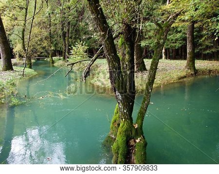 Spring Cave And Creek Baracevac Or Izvor Spilja I Potok Baracevac (significant Landscape Barac Caves