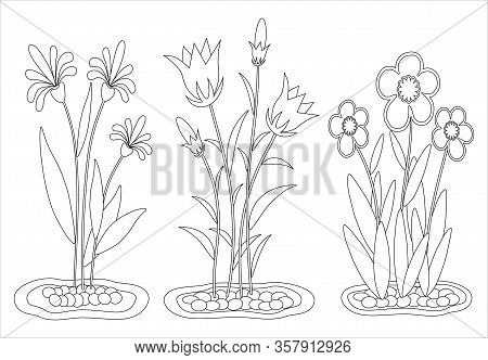 Flower Coloring Book At The Garden For Children