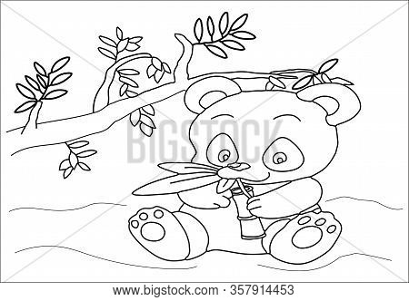 Panda Coloring Book At The Zoo For Children