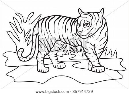 Tiger Coloring Book At The Zoo For Children