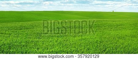Spring Lpanoramic Andscape Of Green Hills And Lines Field Of Winter Crops