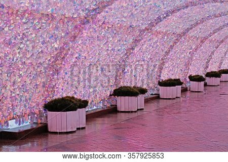 Сoniferous Plants In Pots Stand In A Tunnel Of Pearl Sequins