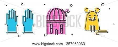 Set Rubber Gloves, Astronomical Observatory And Rat Icon. Vector