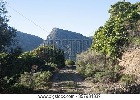View Of The Monte Correxerbu In Sinnai