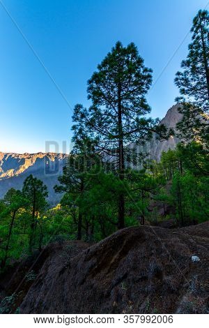 Scenic View On Caldera De Taburiente With Green Pine Forest, Ravines And Rocky Mountains Near Viewpo