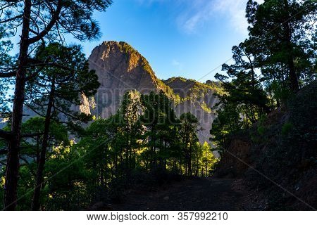 Scenic View On Caldera De Taburiente With Green Pine Forest, Ravines And Rocky Mountains Near Viewpo