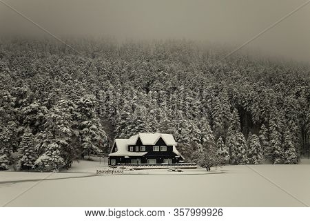 Bolu Golcuk National Park, Snowy Winter Day. Turkey