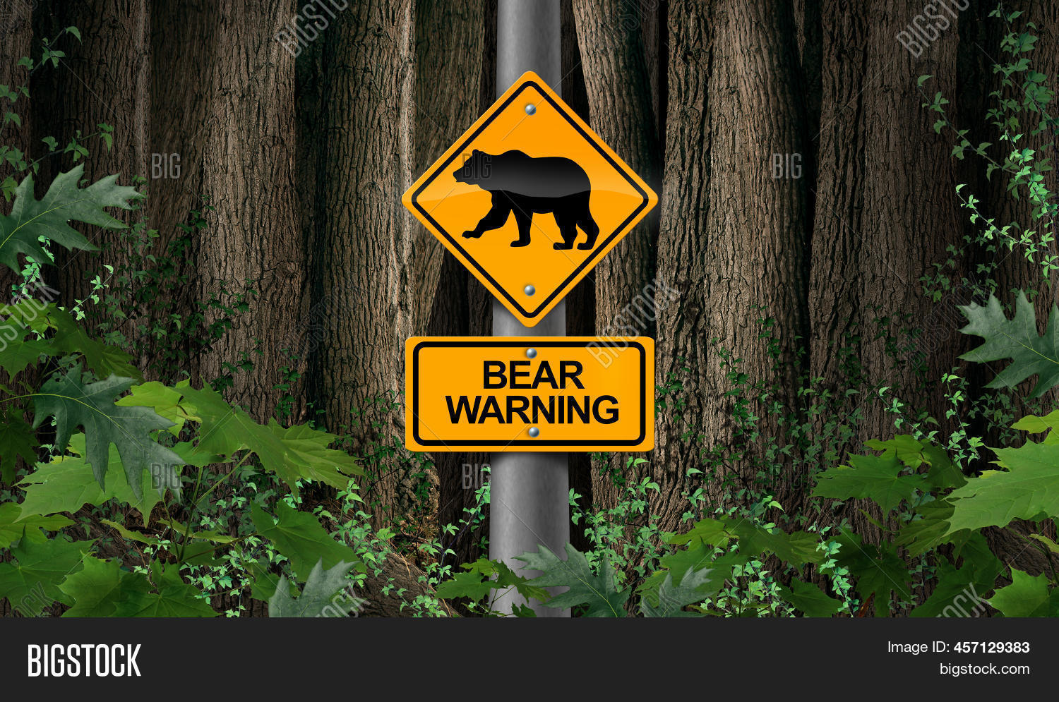 Bear Warning Woods Image & Photo (Free Trial) Bigstock