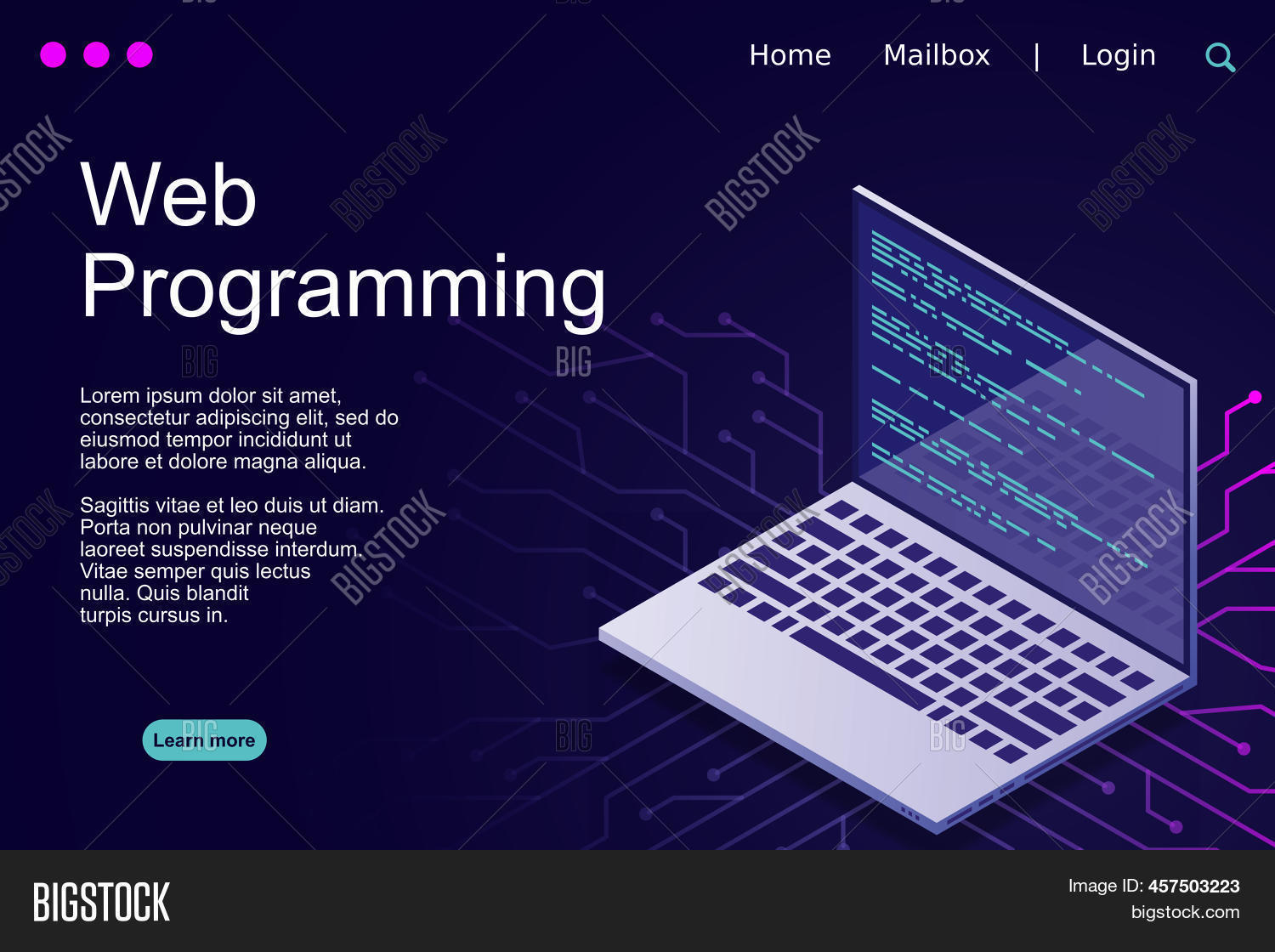Web Programming Vector & Photo (Free Trial) | Bigstock