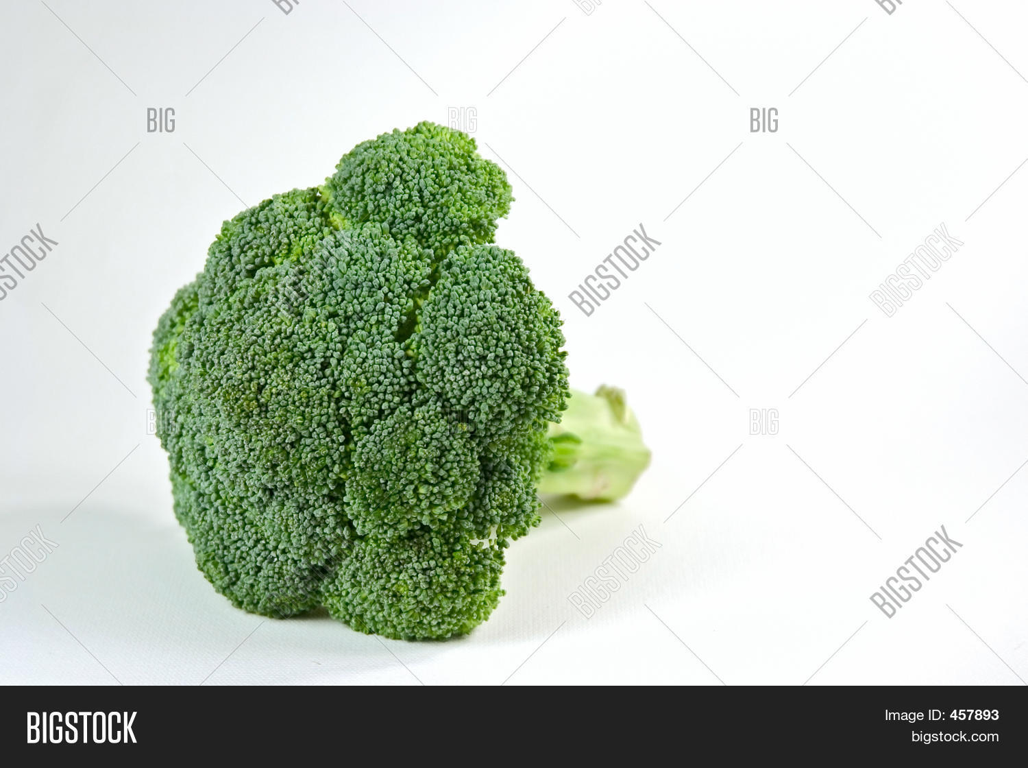 Broccoli Head Image & Photo (Free Trial) Bigstock
