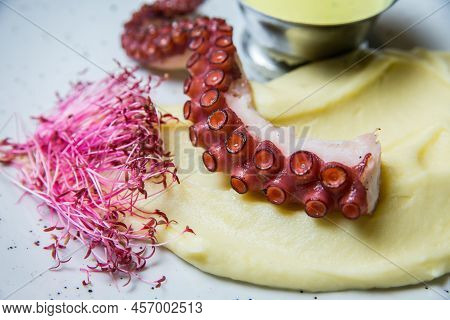 Traditional Italian Polpo Alla Griglia Su Crema Di Patate With Barbecued Octopus, Potato Creme And C
