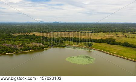 Lake Panama In The National Park Among The Green Jungle. Sri Lanka. Arugam Bay.