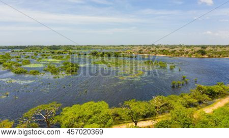 Lake With Birds In The Kumana National Park. Sri Lanka.