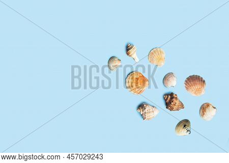 Composition With Sea Shell And Starfish On Blue Minimal Background. Summer Frame Concept, Travel Vac