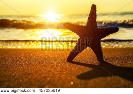 Beautiful Beach With Sunrise Background. Focus On Sea Starfish.