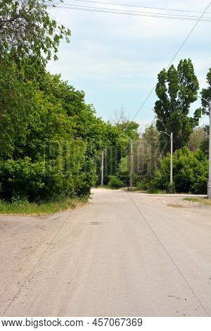 An Ordinary Asphalt Road With Traffic Lights And Large, Large Trees Along The Outskirts.