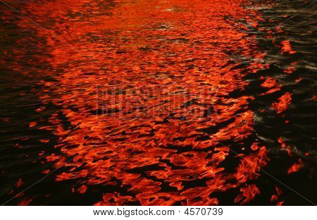 Reflexion des Lichtes