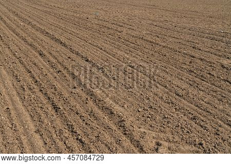 Freshly Plowed Spring Field. For Planting Vegetable Seeds. The Furrows Extend Into The Distance.