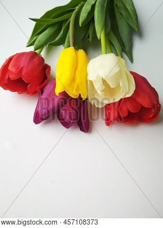 Bouquet Of Colorful Tulips For The Holiday, Background Image