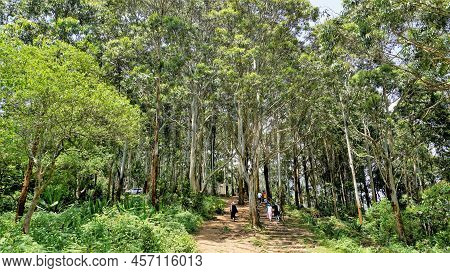 Tourists Hiking In Ooty To Enjoy The Sightseeing Place Needle Rock View Point Or Suicide Point. Best