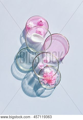 Petri Dish With Cosmetic Samples On A Light Background