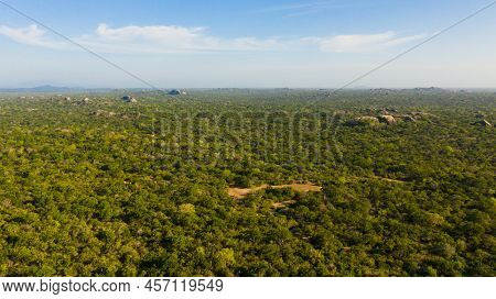Rocks In The Tropical Jungle Of Kumana National Park. Sri Lanka.