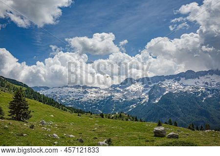 Beautiful Nature. Mountain Hiking Trail Road. Italy Malga Montasio Forca Disteis