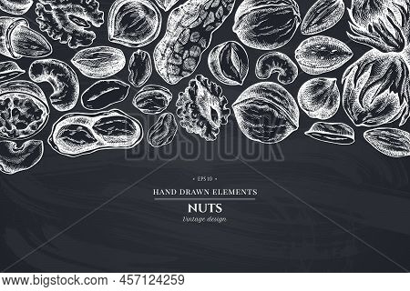 Monochrome Design With Chalk Cashew, Peanut, Pistachio, Hazelnut, Almond Walnut Stock Illustration