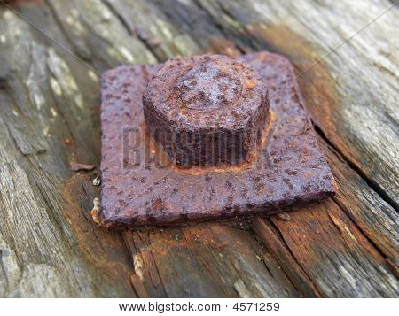 röstfrisch Schraube