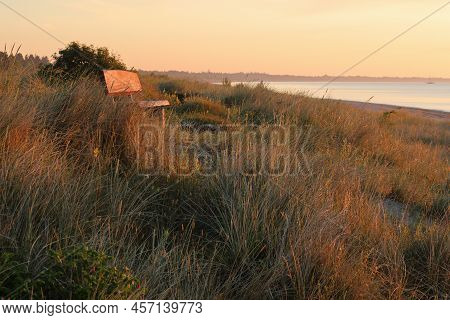 Empty Wooden Bench On A Sand Dune With Dune Grass On A Sunny Morning At Marielyst, Denmark